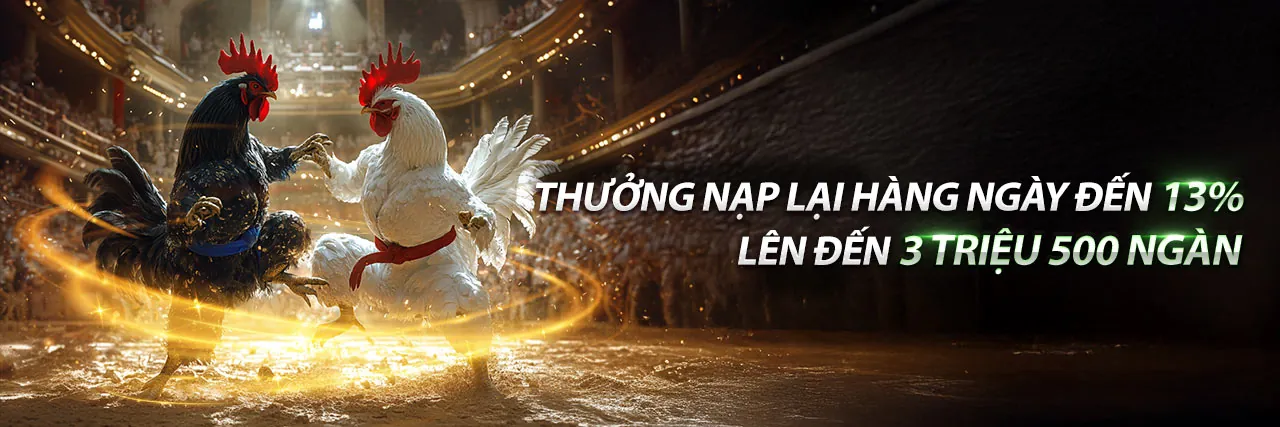 Sân đấu đá gà trực tuyến VZ888