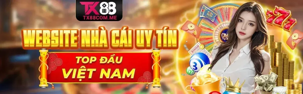 Hình ảnh chính VZ888 Blog